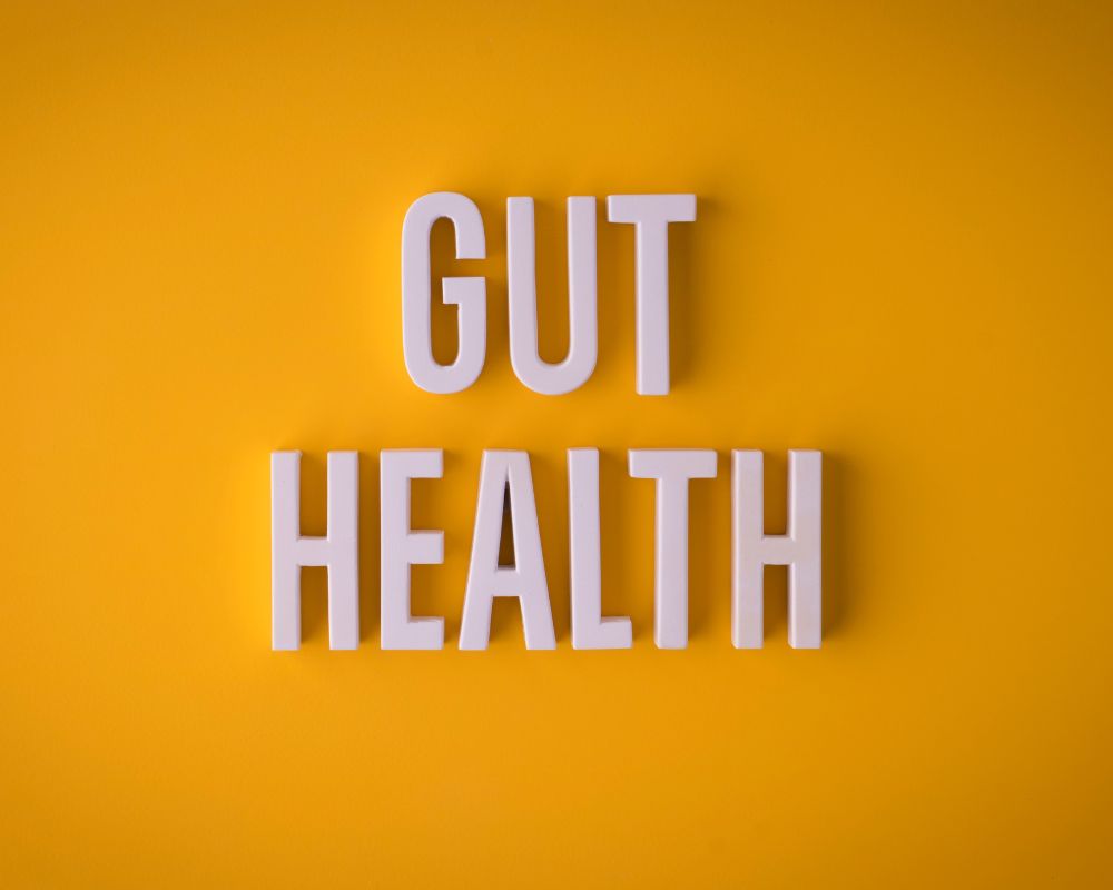 The Link Between Electrolytes and Gut Health: Nurturing a Healthy Microbiome